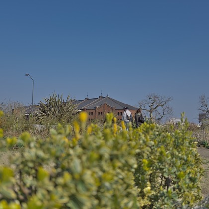 Mid-Village Studioが撮影した「:albumName」の写真