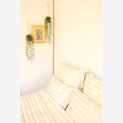 haba Phöto-Designが撮影した店舗/オフィス/サロン撮影/イベント/スナップ撮影/商品/物撮り/不動産/竣工の写真