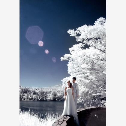 RANMARU  STYLEが撮影した「フォトギャラリー」の写真