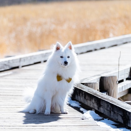 Makoto Nakamuraが撮影したウェディングや家族、ビジネスの写真