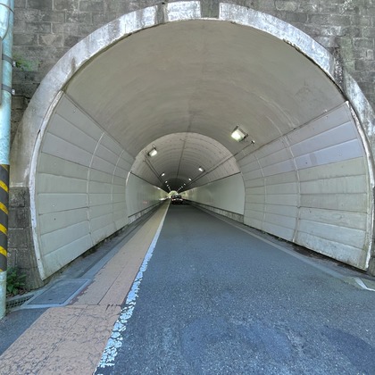 Takeuchi Shunsukeが撮影したその他の写真