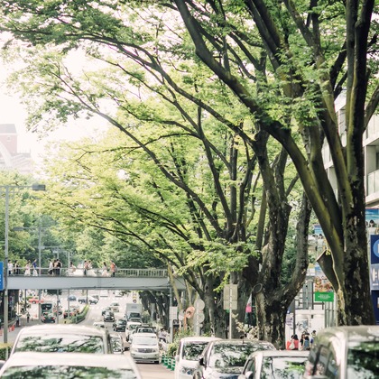 elle pupaが撮影した「:albumName」の写真