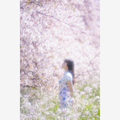 伊藤　誠が撮影した「:albumName」の写真