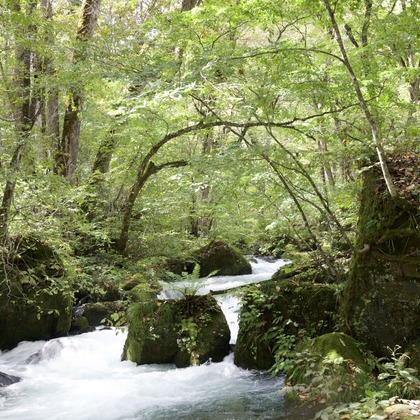 TATEZOUが撮影したイベント/スナップ撮影の写真