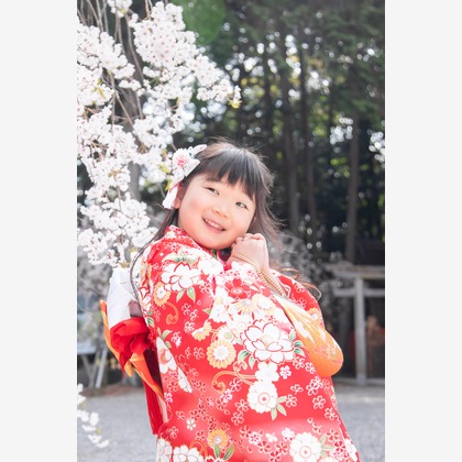 スマイルグローバルフォトが出張撮影した「桜の七五三」の家族写真