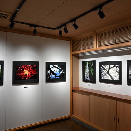 あまかど スタジオが撮影した店舗/オフィス/サロン撮影の写真