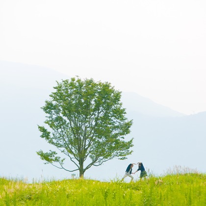 Photo of Pre-wedding photo session and Wedding photographs taken by Feel So High! Kenichi Morinaga photography