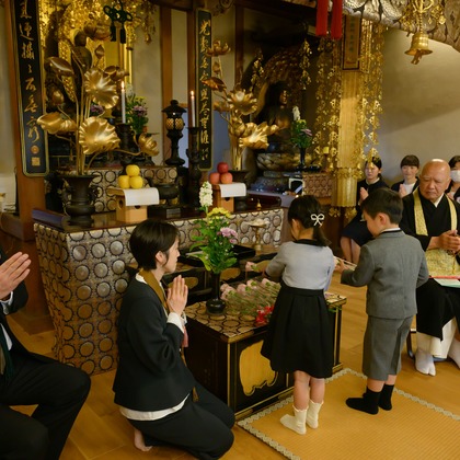 上野貢希が撮影した「:albumName」の写真