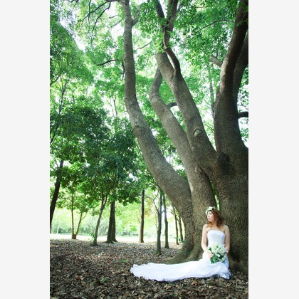 Photo of :albumName taken by WEDDING AVENUE