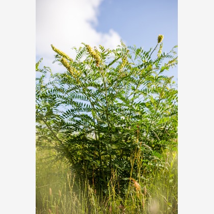 内山慎也が撮影した商品/物撮りの写真