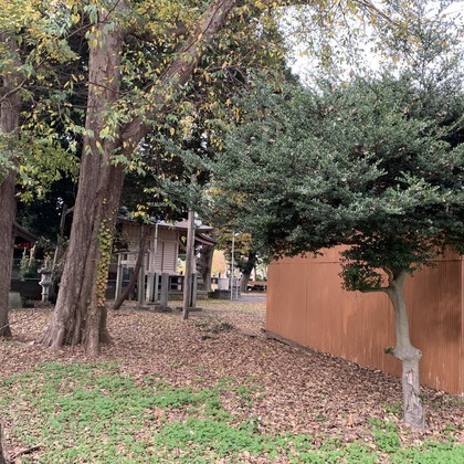 合同会社Joy Stormが撮影した「:albumName」の写真