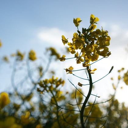 出張撮影のメモリーズが撮影した「:albumName」の写真