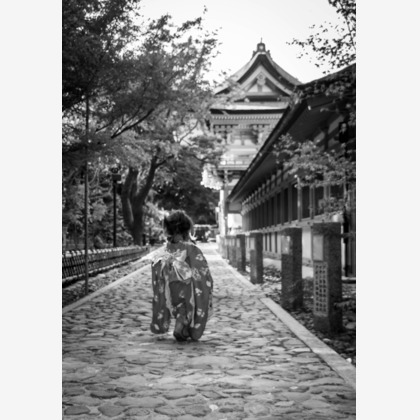 ハイナ　マテウスが出張撮影したフローラルパークコートアロン, 日本の建築, 中国建築などが写った「七五三」の家族写真