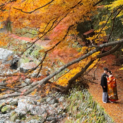 Photo of :albumName taken by Smilehunter