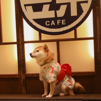 松見　翠が撮影した「:albumName」の写真