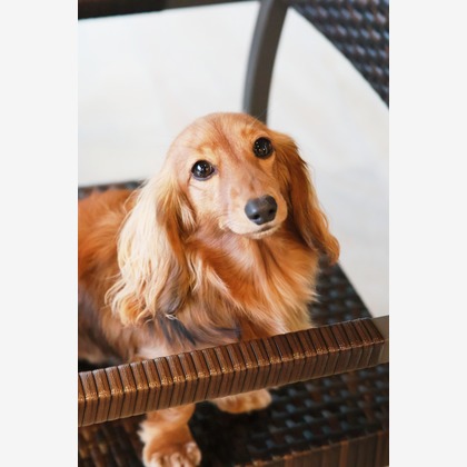 外川博己が撮影したその他の写真