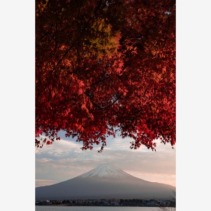 三谷 朋也が撮影した「:albumName」の写真