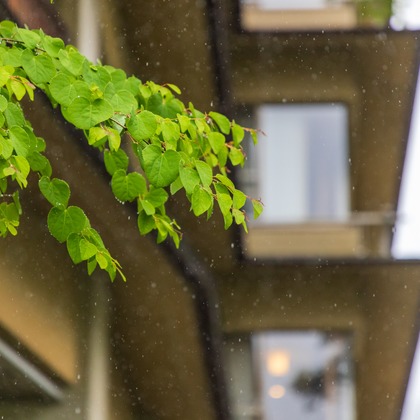 フォトオフィス　ルミエが撮影した「:albumName」の写真