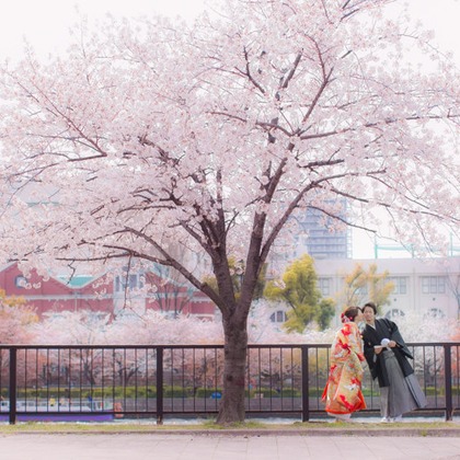 阿部写真館　大阪本町 靭公園前が撮影した「:albumName」の写真