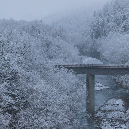 芳賀 翔大が撮影したイベント/スナップ撮影の写真