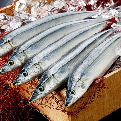 泉田真人が撮影したウェディングや家族、ビジネスの写真