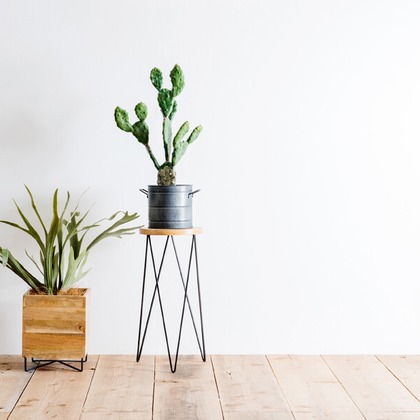 Yoppegraphy Photographic Serviceが撮影した「:albumName」の写真