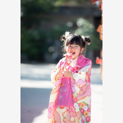 吉村　恵三が撮影した「:albumName」の写真