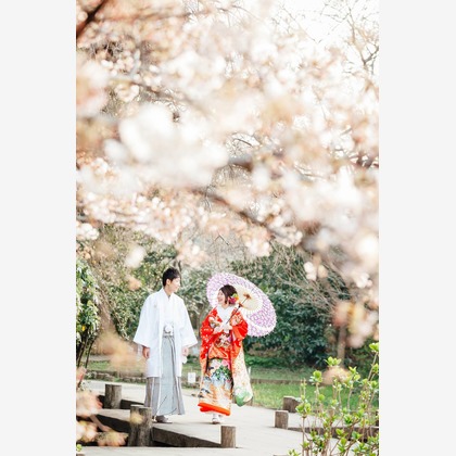 Rocographyが撮影した「:albumName」の写真