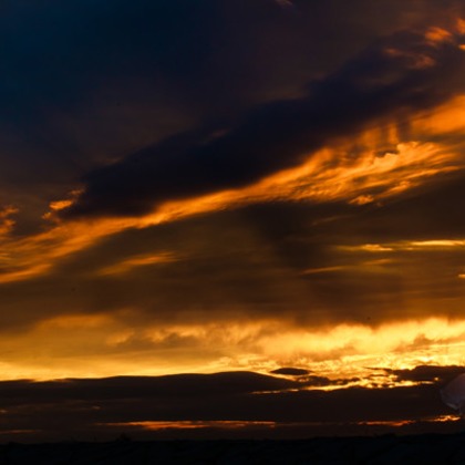 ピュアアーティス(小島 靖雄)が撮影した「:albumName」の写真