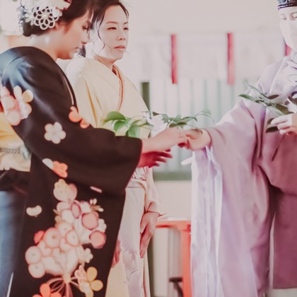 Aoshima Photographyが撮影したウェディングや家族、ビジネスの写真