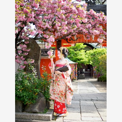 中村雅樹が出張撮影した記念写真, 植物, お宮参りが写った成人式撮影の写真