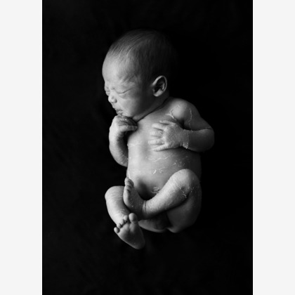 kiharu&photoが撮影した「:albumName」の写真