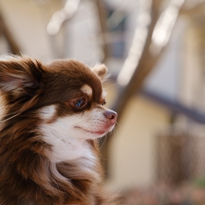高夏写真店が撮影した人物撮影の写真