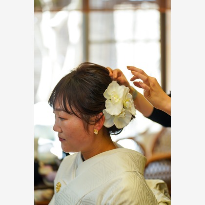 スタジオ　まるが撮影した「:albumName」の写真