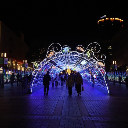 ＮＫ フォトエージェンシーが撮影したその他の写真