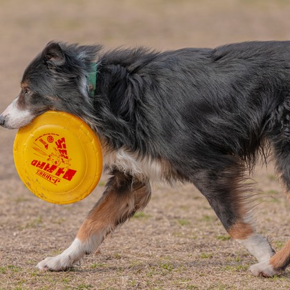 あなたの写真館が撮影した「:albumName」の写真