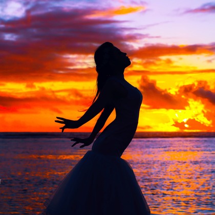 Lucas Shu Photographyが撮影したウェディングや家族、ビジネスの写真