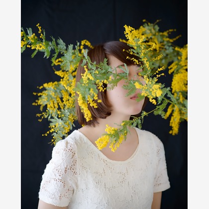 内山慎也が撮影した「:albumName」の写真