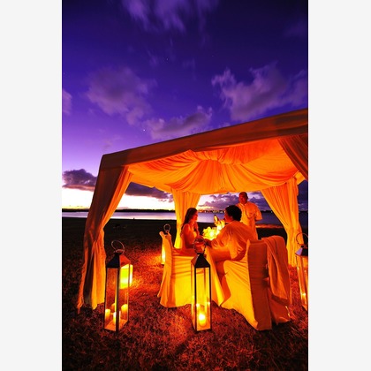 今林 浩一が撮影した「:albumName」の写真