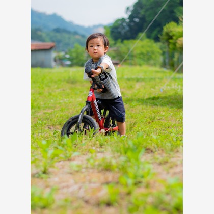 ミーチェ フォトが撮影した「:albumName」の写真