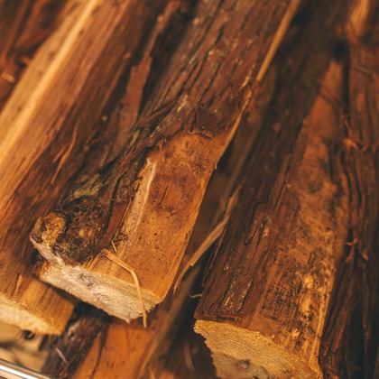 小塚司写真事務所が撮影したその他の写真