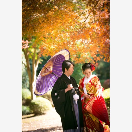 Photo of :albumName taken by KISA photography