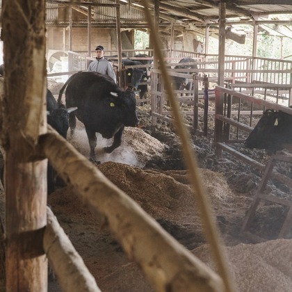 studio cactusが撮影した「:albumName」の写真