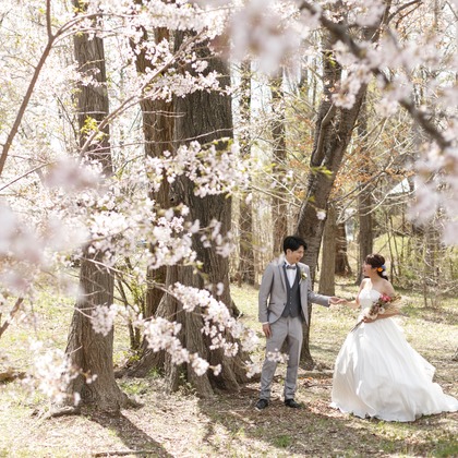 Photo of Mt. Fuji tour plan taken by Chi'es Fotografie