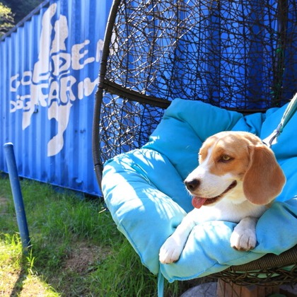 CREAMYが撮影した「:albumName」の写真