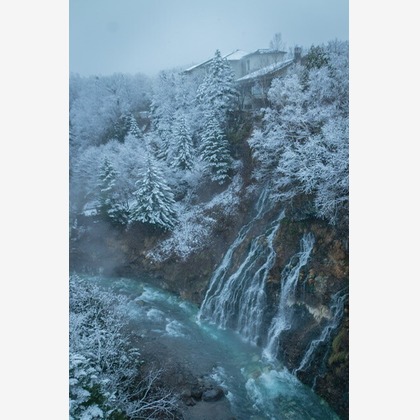 芳賀 翔大が撮影したイベント/スナップ撮影の写真