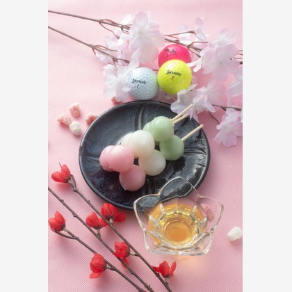 写真屋ごんちゃんが撮影した「:albumName」の写真