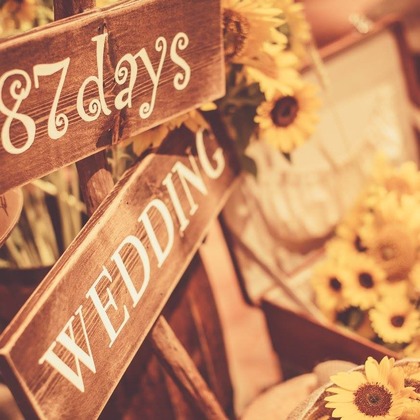  グラフィーズが撮影した「:albumName」の写真