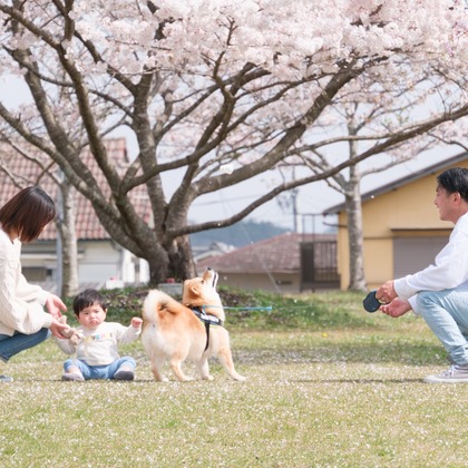 高夏写真店が出張撮影した「家族写真の撮影」の家族写真