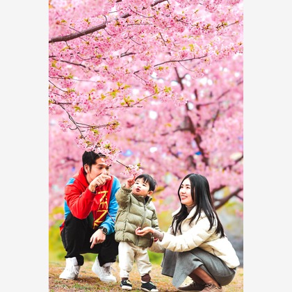 関根麻砂也が撮影したウェディングや家族、ビジネスの写真